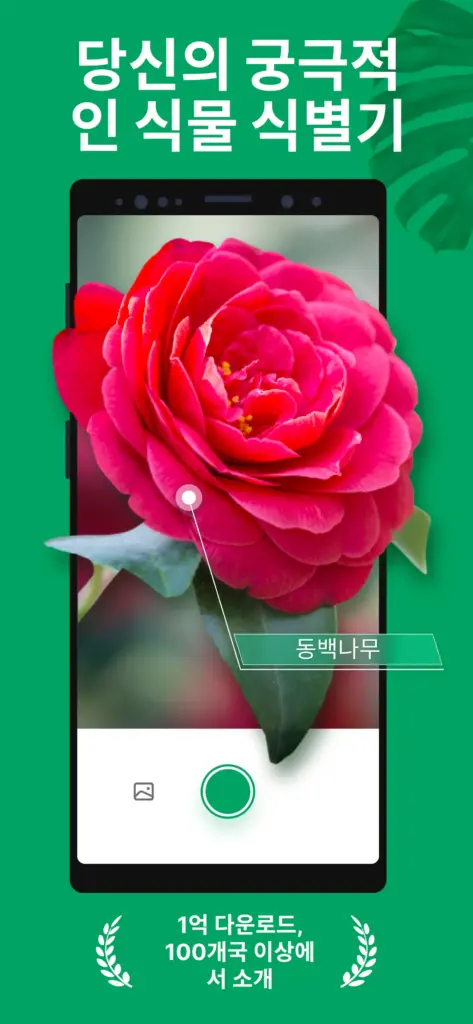 식물이름찾기 스크린샷 1