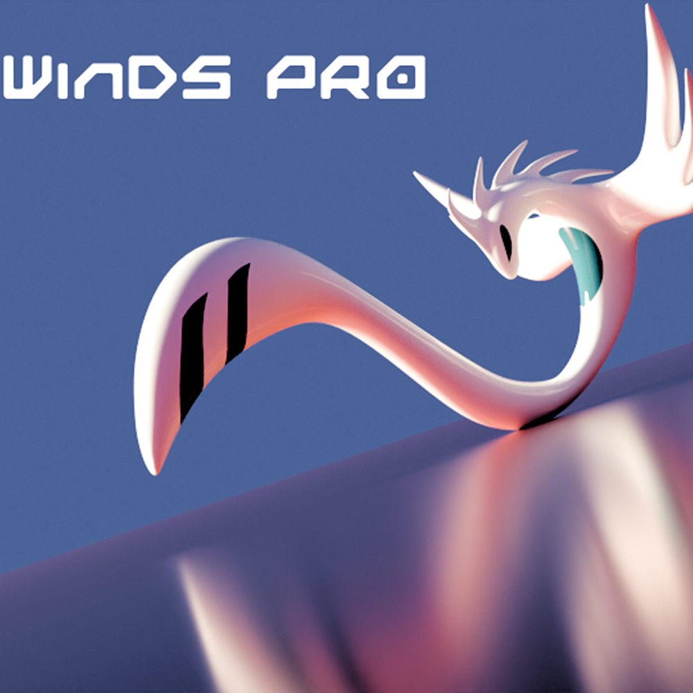 WinDS PRO 대표 이미지