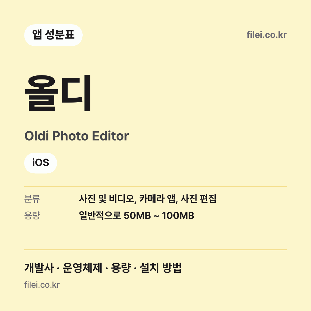 올디 다운로드 · Oldi Photo Editor · iOS
