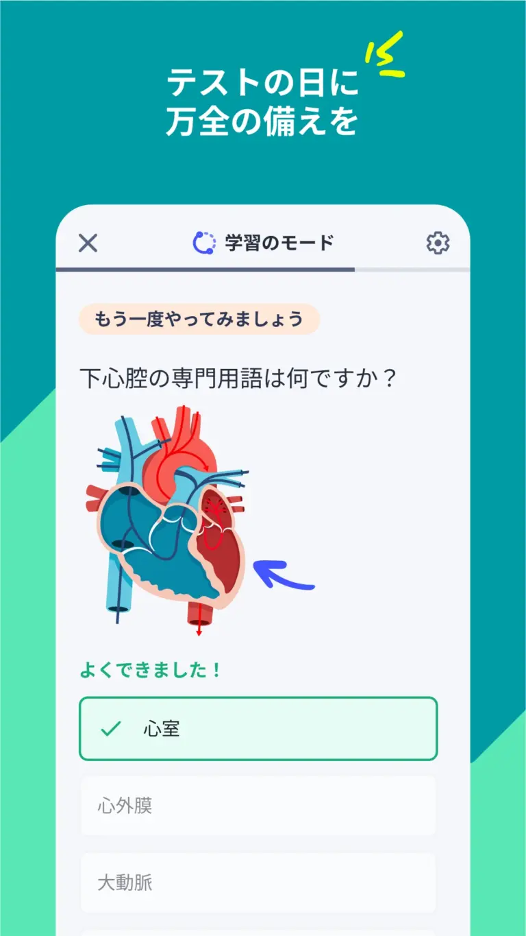 Quizlet 스크린샷 3